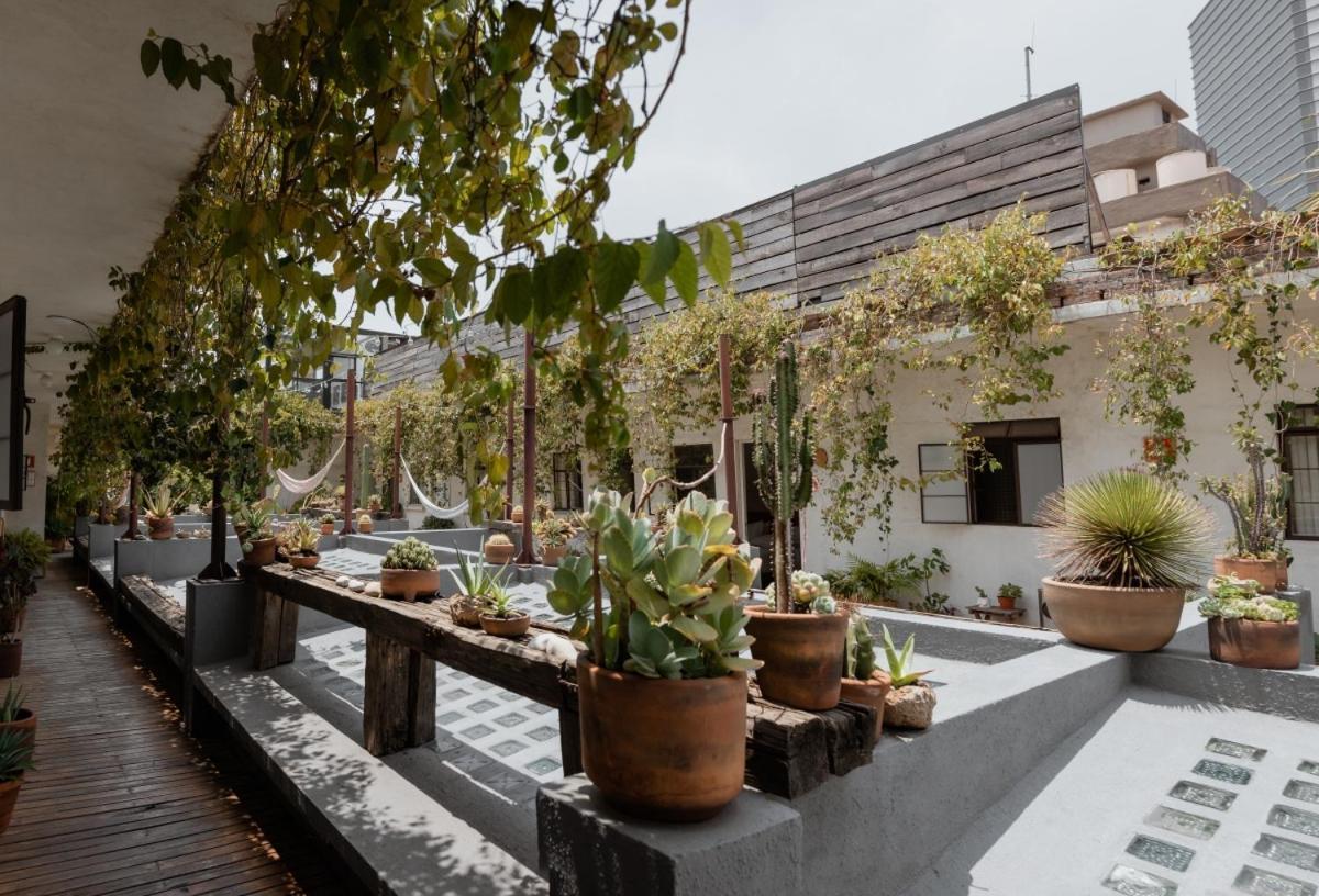 Casa Lomah Hotel Мехико Экстерьер фото